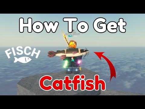 How To Get Catfish In Fisch | Best Way To Get Catfish In Fisch | Roblox