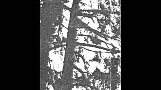 The Legendary Pink Dots - Another Kind Of Violence