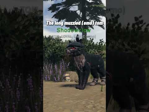 "The emo deputy" Warrior cats ultimate MEME/EDIT || Inspo: Kat || #wcue