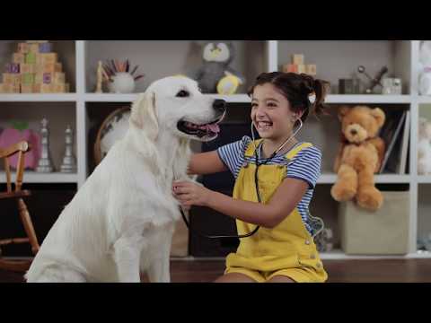 Sunset Animal Hospital: Always There For You