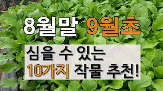 8월말 9월초에 심을수 있는 10가지 작물 추천! # 주말농장 텃밭 가꾸기
