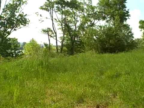 River Lot  Riverview Circle  Saltillo, TN--For Sale-$89,900