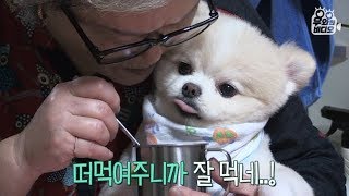 Spoon feed me~ video