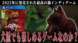 2022年最高の猫ゲームは超犬派でも楽しめるゲームなのか？【Stray】