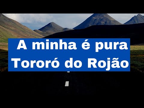 A minha é pura   Tororó do Rojão