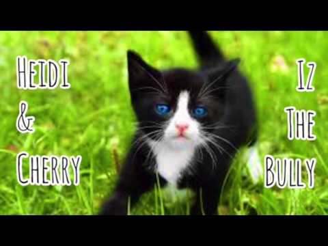 Fun Bedtime Story For Kids | Heidi & Cherry Meet Iz The Bully