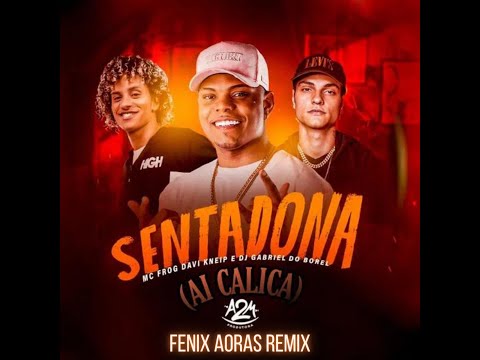 MC Frog, Davi Kneip e Gabriel do Borel - SentaDona (Fenix Aoras remix)