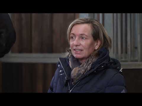 Visit to the stables of Birkhof's Bohemian OLD by Bon Coeur-Rotspon-Lauris Crusador xx