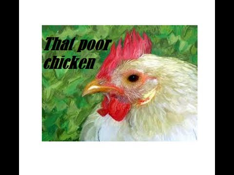 That poor poor chicken | T3HJoK3r5