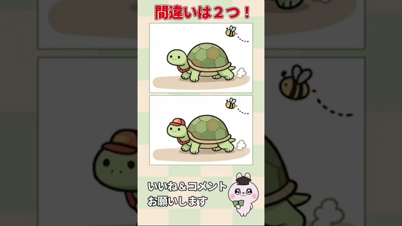 カメのお散歩の間違い探し #間違い探し #脳トレ #shorts #認知症予防 #クイズ
