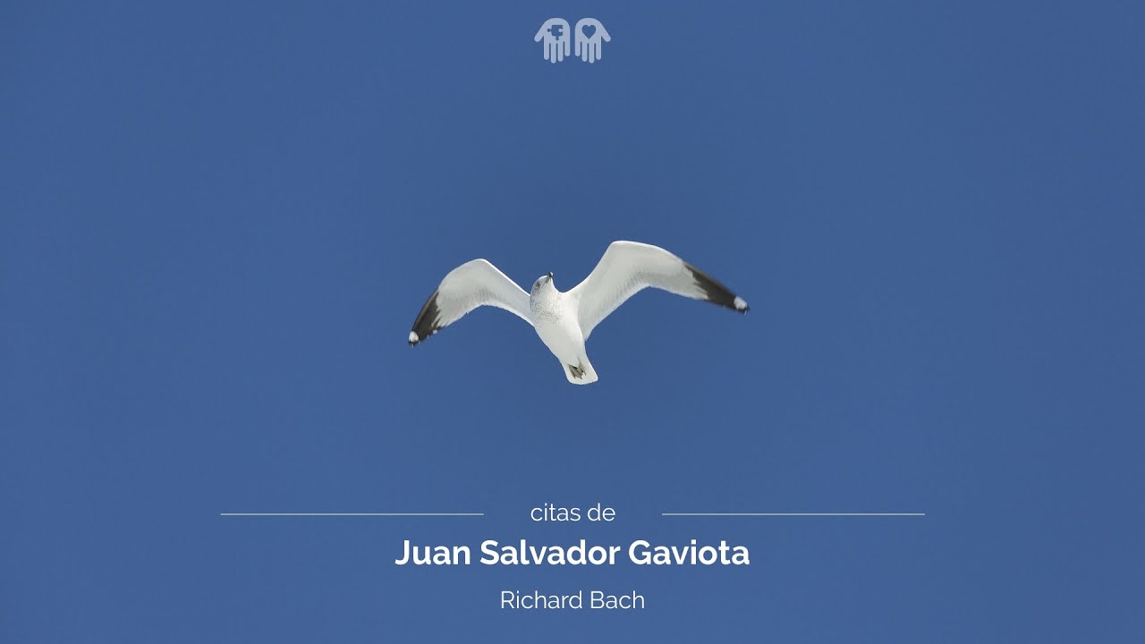 Citas de Juan Salvador Gaviota