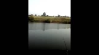 Рыбалка белгород гремучий