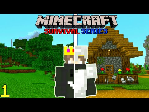 Its Avii - Minecraft survival series in Hindi..#survivalseries (first minecraft video)