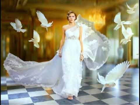 Andrea Fiorello Nino Fiorello   La sposa dei sogni rosa