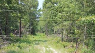 preview picture of video 'SC Hunting Land: Rural Recreational Tract'