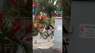 Nhớ mùa đông Hà Nội #bosanova #hanoi #nhachaymoingay