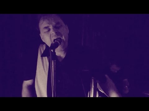 The Tremolo Beer Gut - Live, Beyond Our Means (Teaser - Theme from The Beer Hunter)