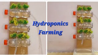 Hydroponics Farming Working Model | vertical farming | science exhibition project | diy
