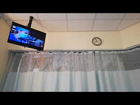 GINGER ZEE - 1-11-19