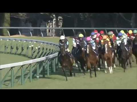 2021.12.19 Asahi Hai Futurity Stakes (JPN) - Do Deuce