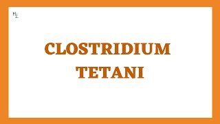 Clostridium tetani and Tetanus in Detail | Tetanic Triad