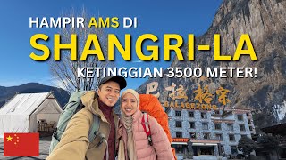 Download lagu Tak sangka Shangri-La Setinggi & Secantik ini! | Travelog Yunnan Ep 1 mp3 Download lagu Tak sangka Shangri-La Setinggi & Secantik ini! | Travelog Yunnan Ep 1 mp3