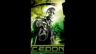 Burn That Bridge - AKON New Song 2012 HD.flv