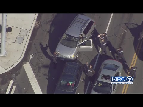VIDEO: Police chase ends in attempted carjacking