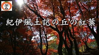 preview picture of video '安藤塚 の 紅葉 Japan Travel 【 うろうろ紀伊風土記の丘 】 和歌山県 和歌山市 穴場 の 撮影スポット'