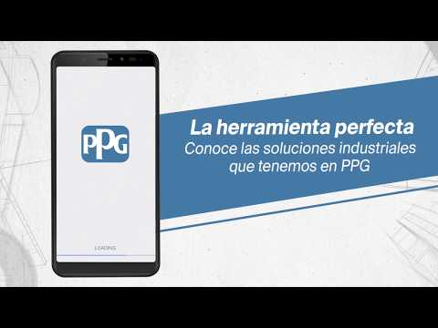 PPG en la obra