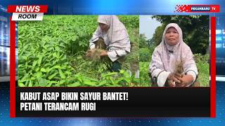 Kabut Asap Tekan Hasil Panen Petani Sayur