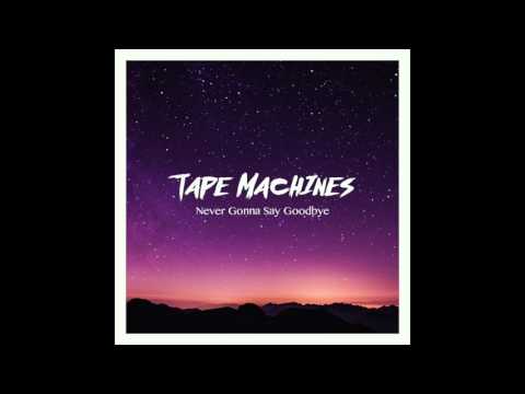 Never Gonna Say Goodbye (feat. Loidimo)