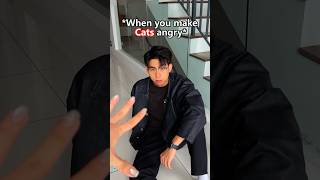 Cats doesn’t forgive