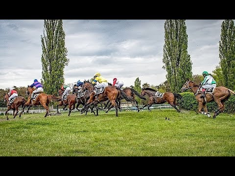 Dostihová sezona 2019 v Pardubicích začíná! Sledujte vše ŽIVĚ EquiTV