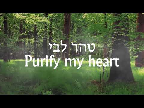 נפתלי כלפה מארח את שלמה כץ  - טהר ליבי Naftali Kalfa ft. Shlomo Katz - Taher Libi