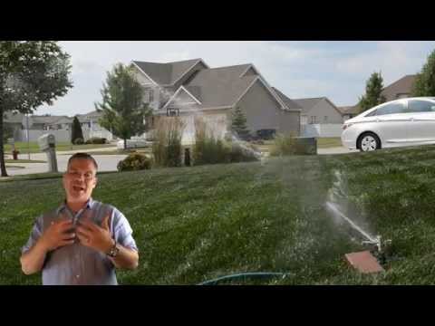 芝生に水をやる方法 : 水やりのヒント