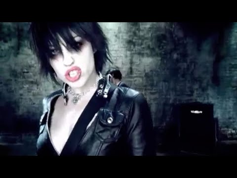 The Distillers Video