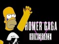 Homer face FR 