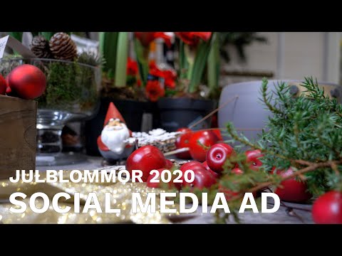 Julblommor | Florist | Lidköping