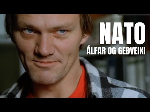 Íslensk Bíómyndabrot - Englar Alheimsins - Nató álfar og geðveiki