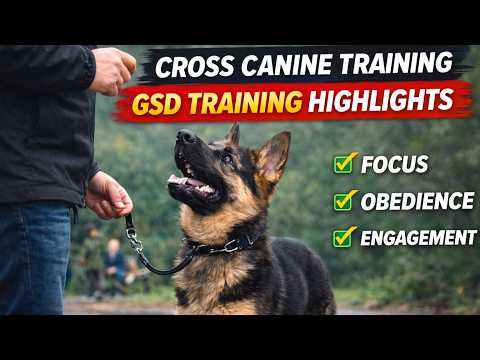 Cross Canine Training video.