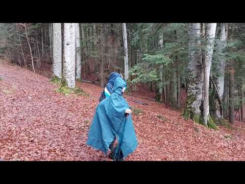 Cab. DIHAM 1320 m - PICHETUL ROȘU 1445 m - poiana COȘTILEI 1300 m - BUȘTENI (Căminul Alpin) - 900 m