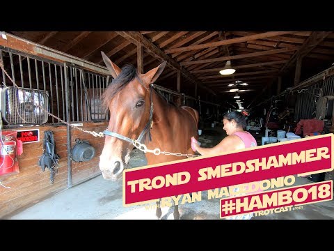#Hambo18 A TrotCast Story: Trond Smedshammer
