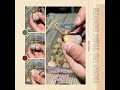 Here are the step-by-step instructions for what to do when receiving lithops in the mail: