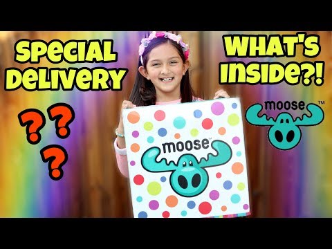Special Delivery From Moose Toys!!!! Video