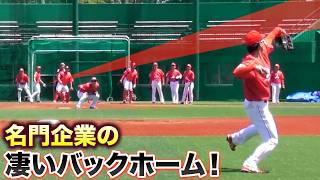 見たことない...こんなに曲がるスライダーある？