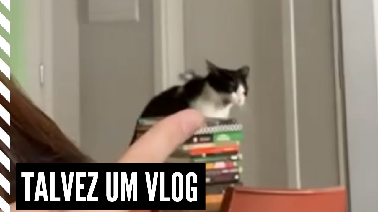 isso é um vlog (ou uma tentativa de) | VlogDeM #1
