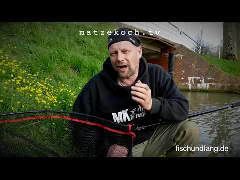 Matze Koch: Carp with a Thick Cheek - Matze's Antics 04-2017