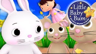 Little Baby Bum | Little Bunny Foo Foo | Nursery Rhymes for Babies | Songs for Kids
