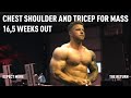 DAAN MANSENS - TRAINING CHEST DELTS AND TRICEPS FOR MASS - EXPECT MORE - THE RETURN